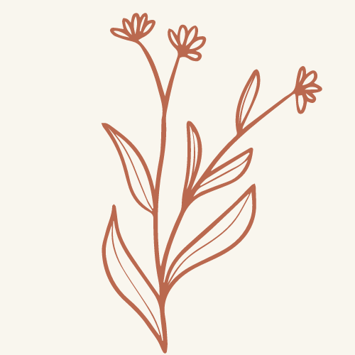 soulful-flow-barnim-5 soulful-flow-barnim-5